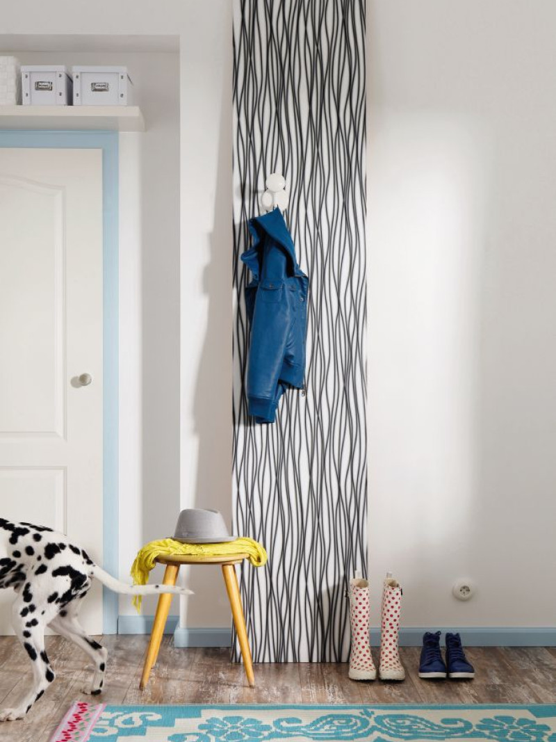 Zebra - View 1