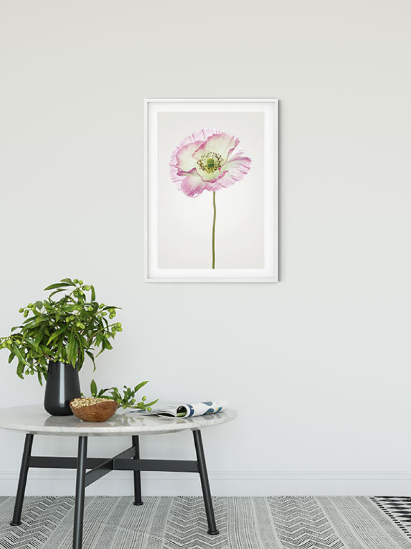 Poppy - View 1
