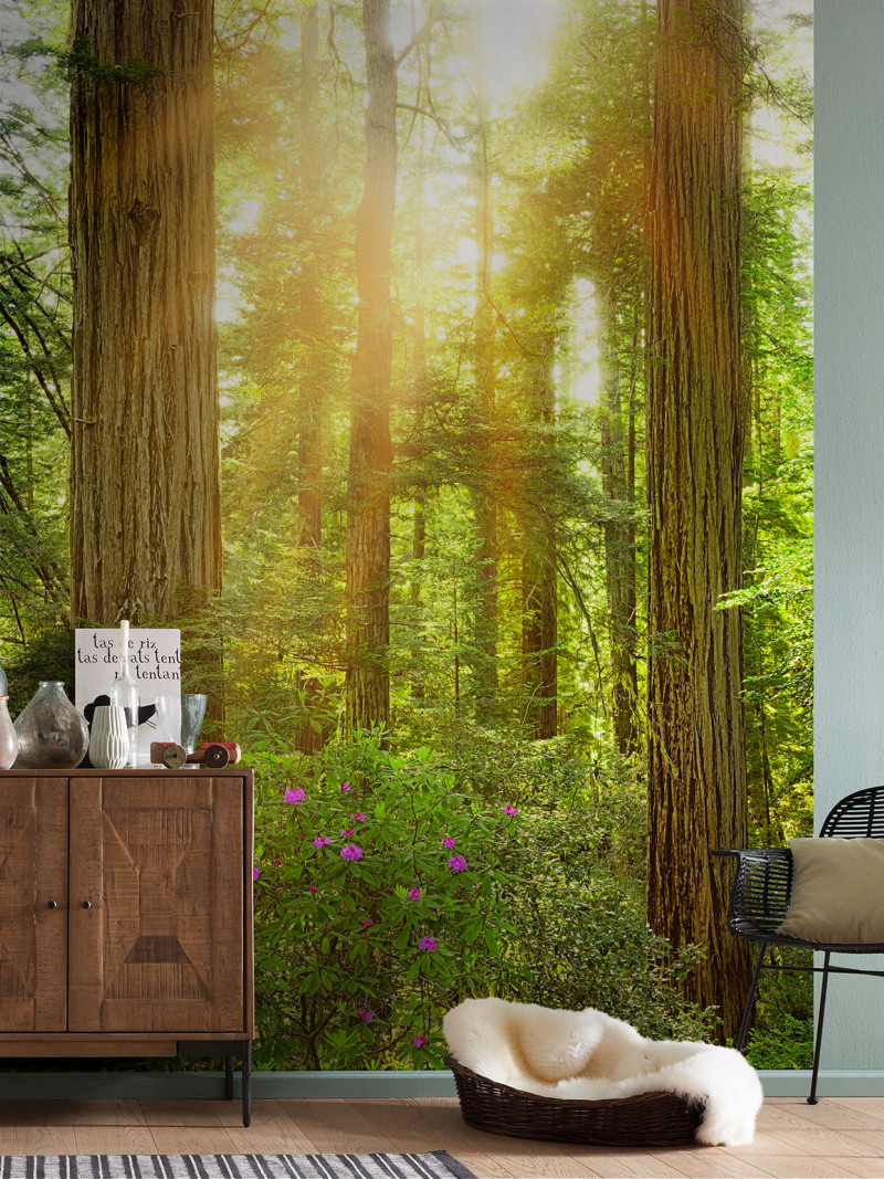 Redwood - View 1
