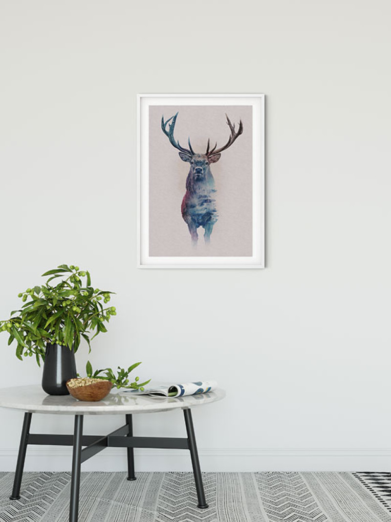 Animals Forest Deer - View 1