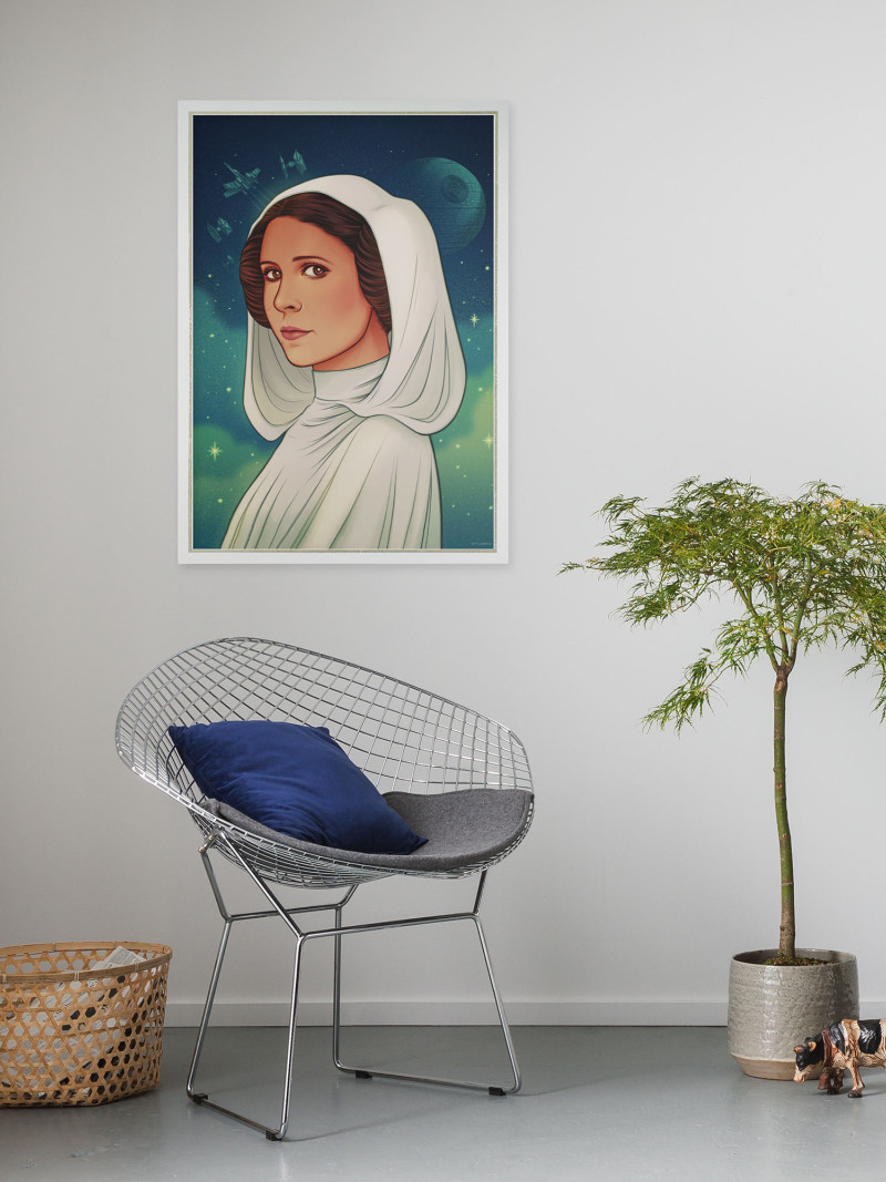 Star Wars - Princess of Alderaan - View 1