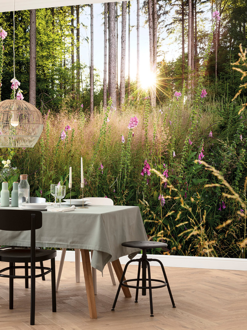 Summer Glade - View 1