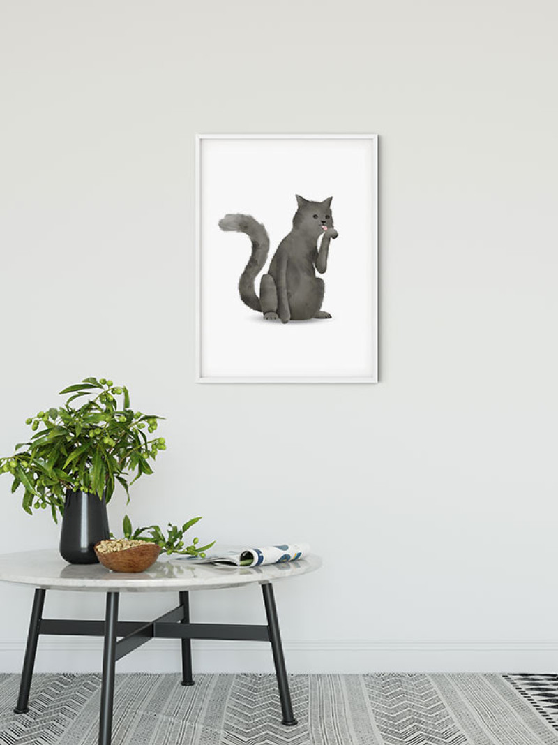 Cute Animal Cat - View 1