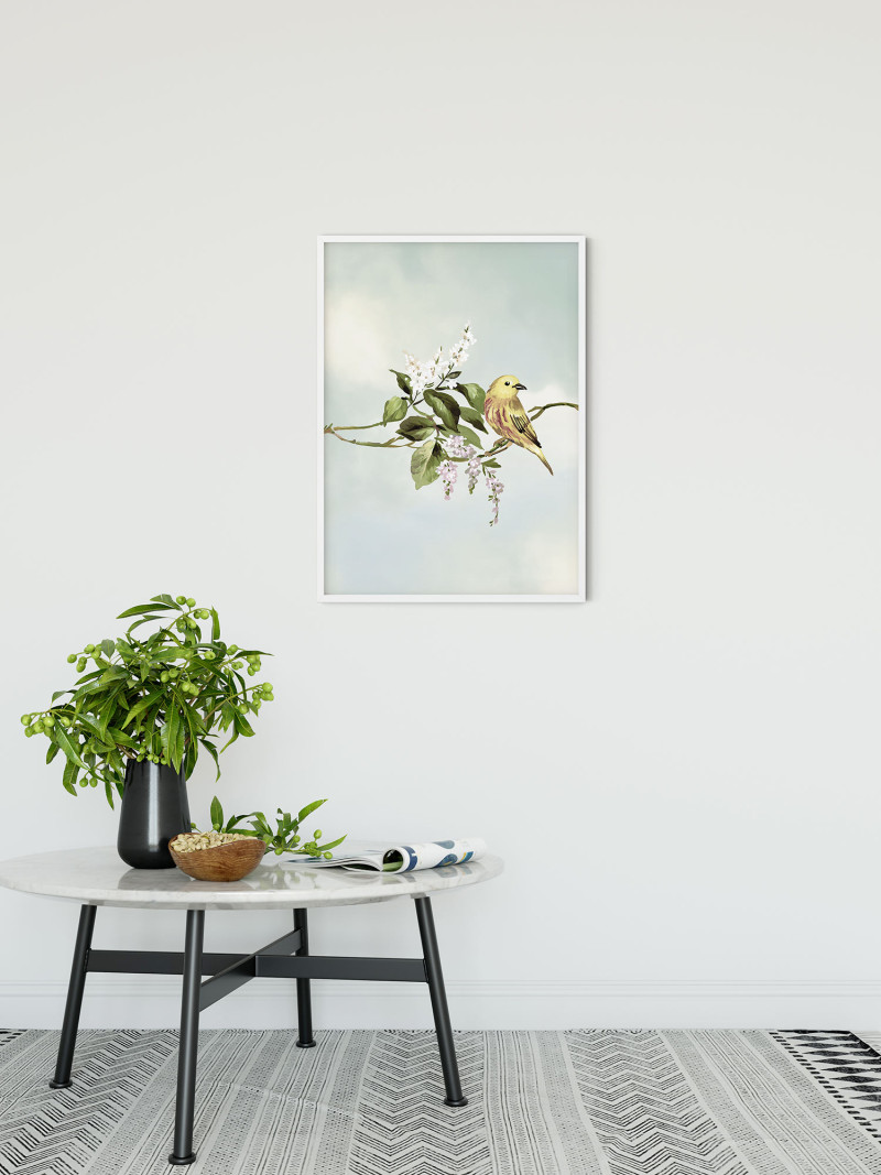 Gazouillis des Oiseaux - View 1