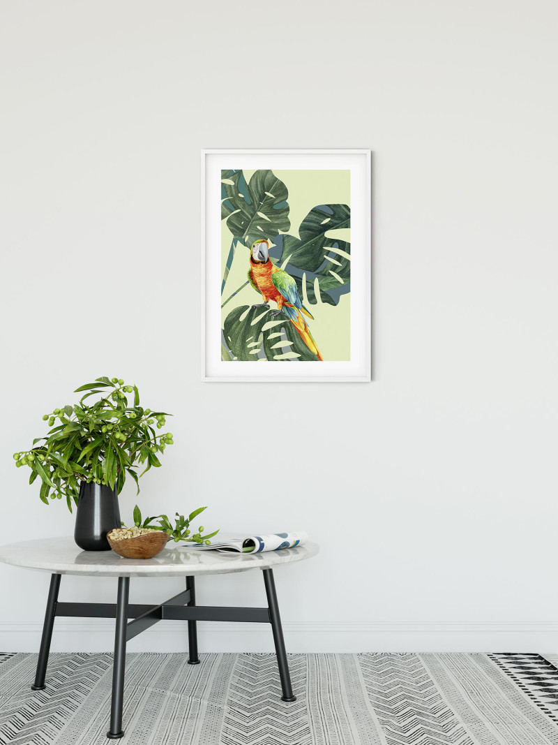 Green-Winged Macaw - View 1