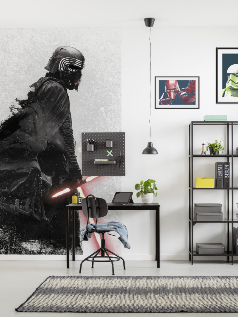 Star Wars Kylo Vader Shadow - View 1