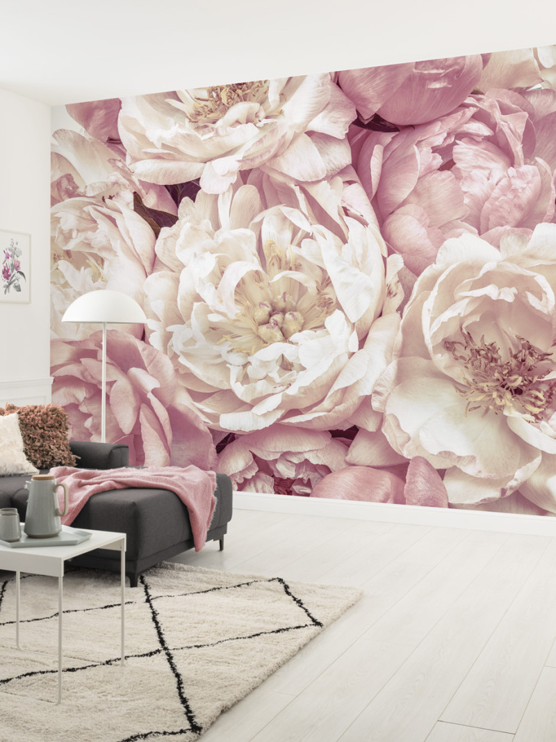 Peonies - View 1