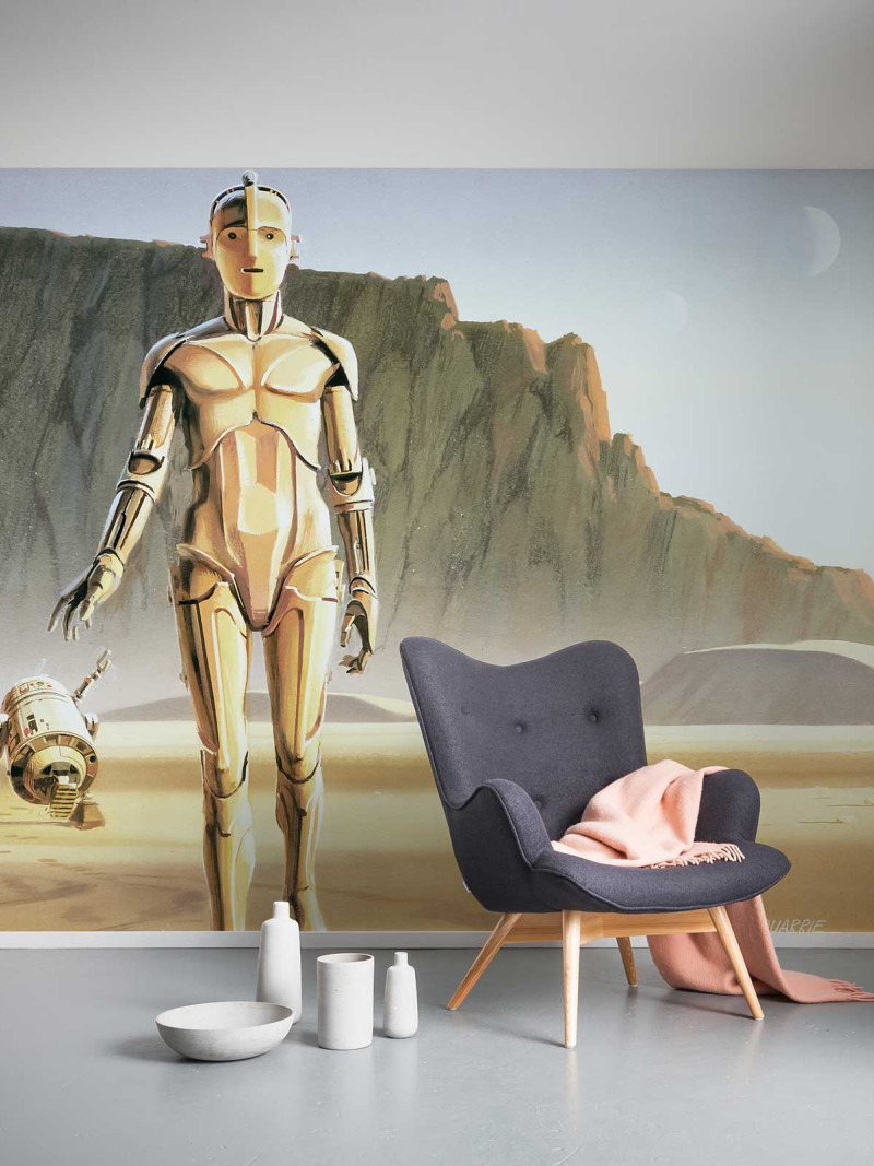 Star Wars Classic RMQ Droids - View 1