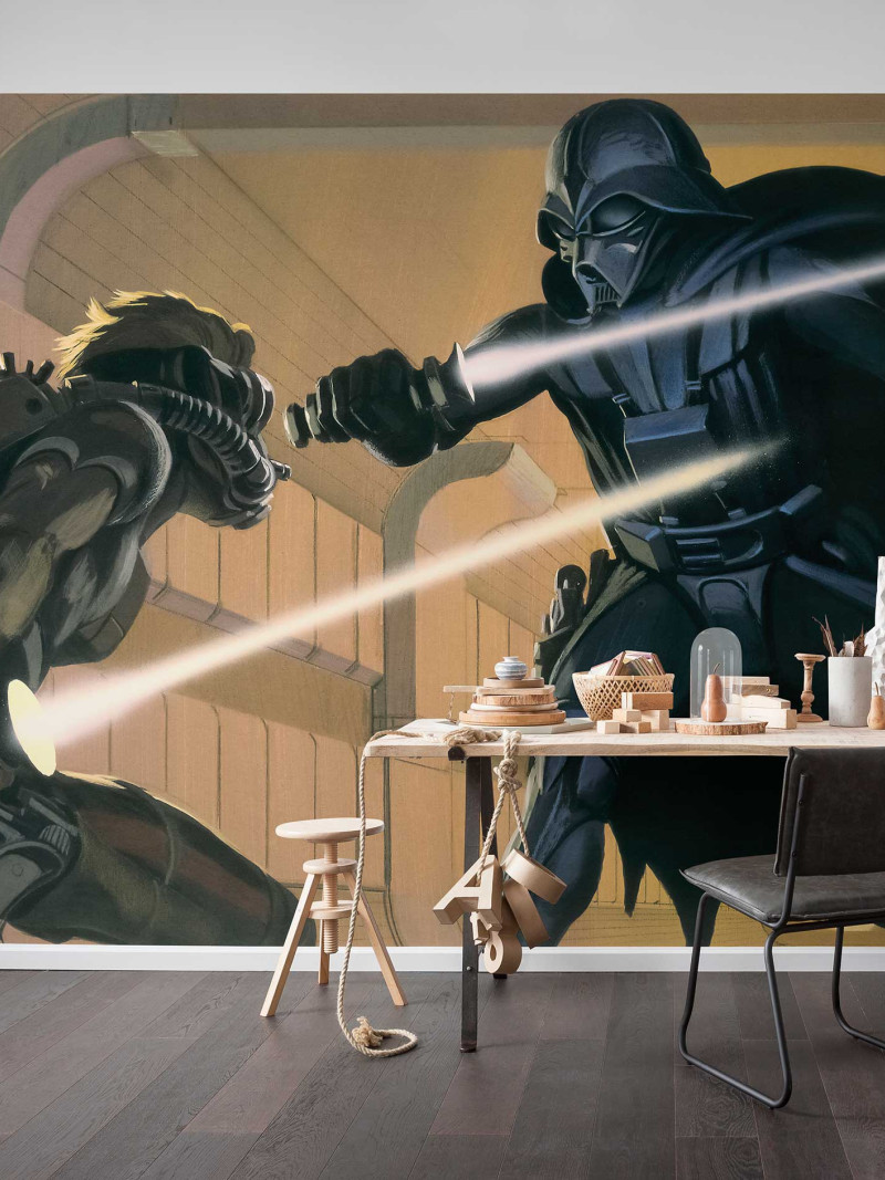 Star Wars Classic RMQ Vader vs Luke - View 1