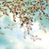 Jolies Chansons - Thumbnail View 1