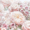 Parfum de Rose - Thumbnail View 1