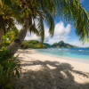Rêve de Coco - Thumbnail View 1