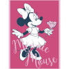 Minnie Mouse Fla-Minnie-go