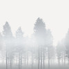 Silver Haze - Thumbnail View 1