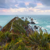 The Nuggets  - Thumbnail View 1