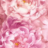 Dahlia - Slider Item - View 1