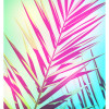 Shine - Thumbnail View 1