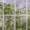 Hedera - Slider Item - View 1