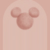 Mickey Arc