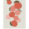 Cultivated Peaches - Thumbnail View 1