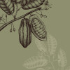 Wild Cocoa - Thumbnail View 1