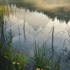 Wild Dolomites - Slider Item - View 1