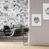 Sukkulenta - Thumbnail View 1