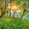 Spring Lake - Thumbnail View 1