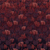 Tulipe - Thumbnail View 1