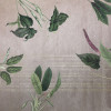 Tropic Concrete - Thumbnail View 1