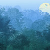 Deep in the Jungle - Thumbnail View 1