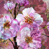 Blooming Gems - Thumbnail View 1