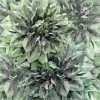 Emerald Flowers - Thumbnail View 1