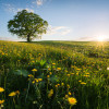 Paradiesisches Bayern - Slider Item - View 1