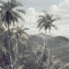 The Exotic Land - Thumbnail View 1