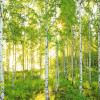 Sunday - Thumbnail View 1