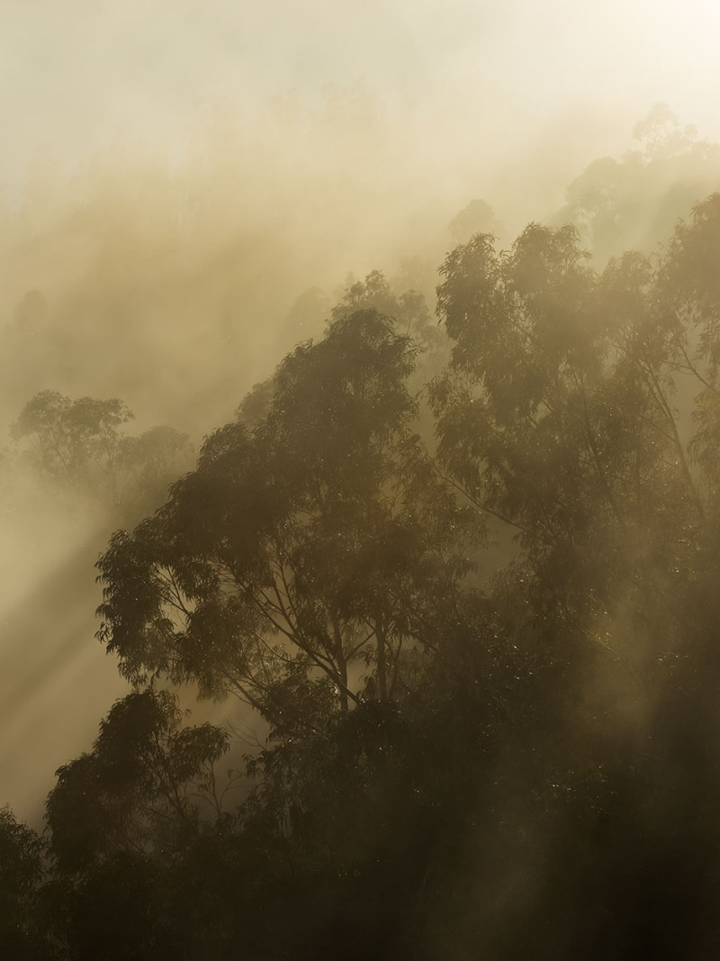 Misty Mountain - Thumbnail View 1