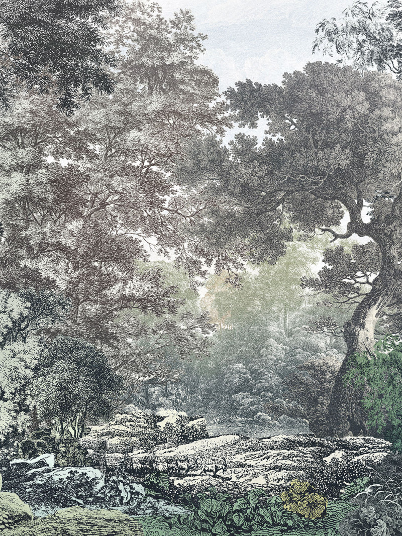 Wood Wide Web - Thumbnail View 1
