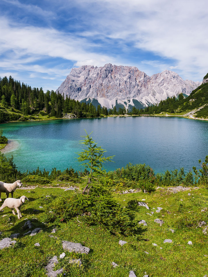 Paradise Lake - Thumbnail View 1