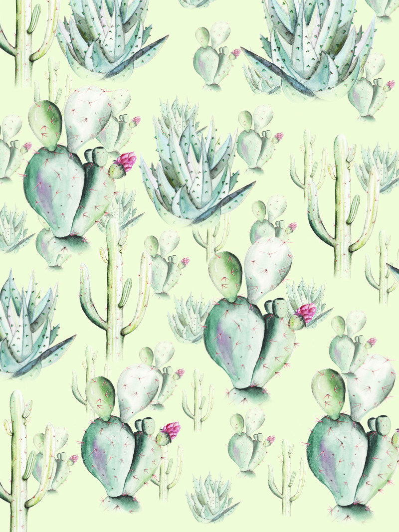Cactus Green - Thumbnail View 1