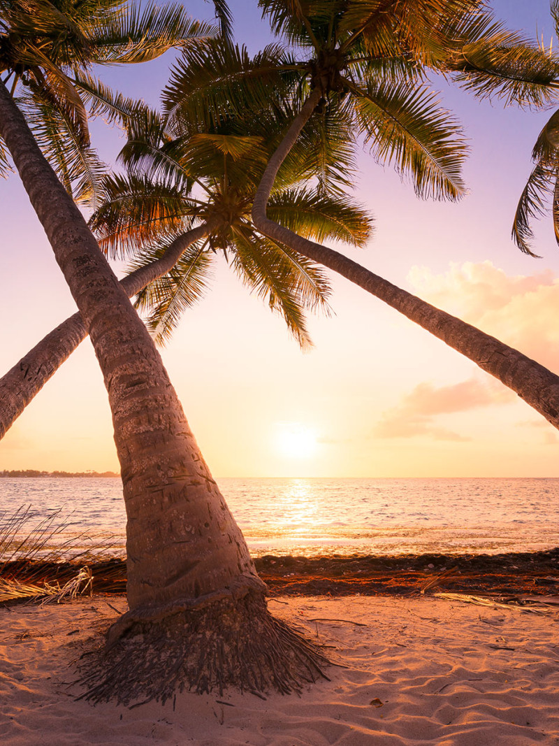 Reaching the Sun - Thumbnail View 1