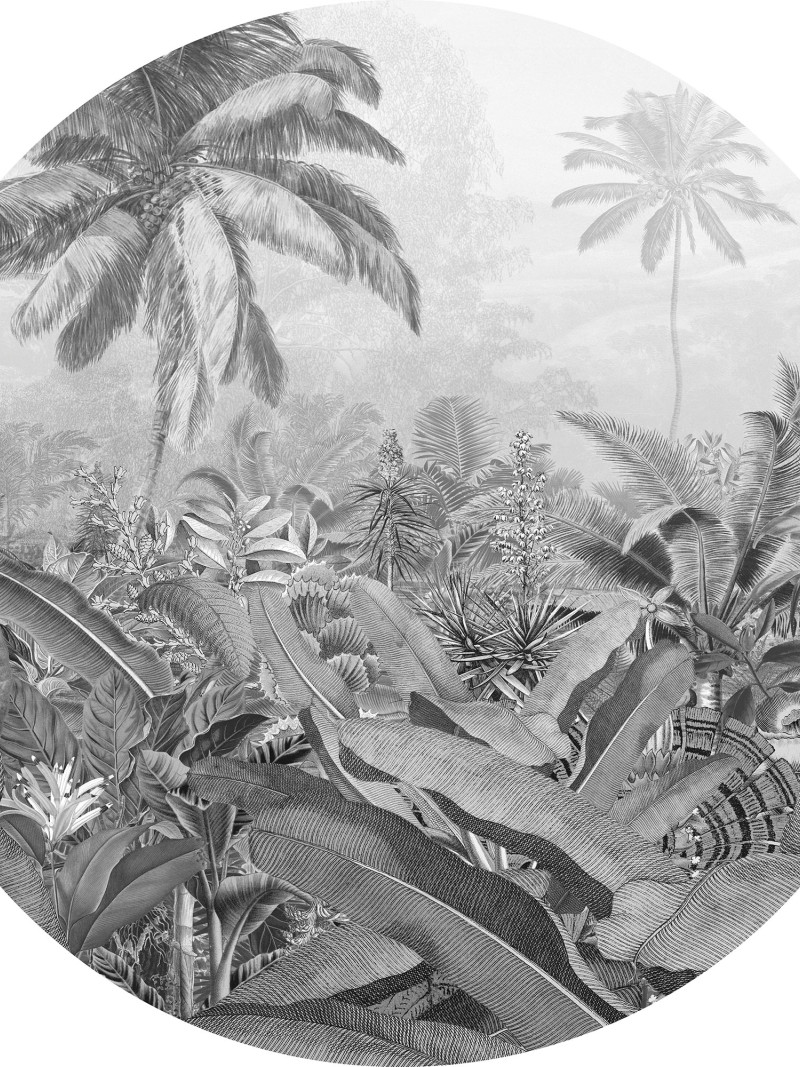 Amazonian Spirit - Thumbnail View 1