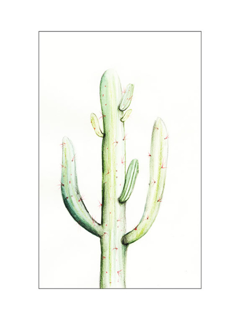 Saguaro Watercolor - Thumbnail View 1