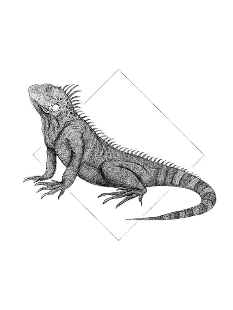 Iguana White - Thumbnail View 1