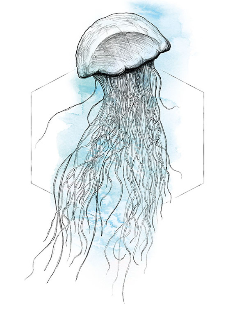 Jellyfish Watercolor - Thumbnail View 1