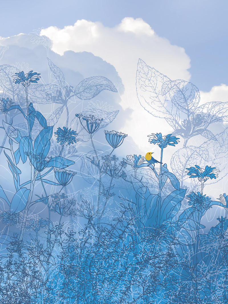 Blue Sky - Thumbnail View 1
