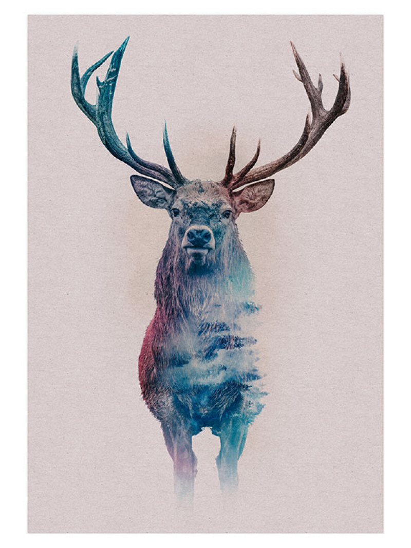 Animals Forest Deer - Thumbnail View 1