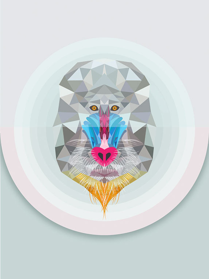 Baboon - Thumbnail View 1