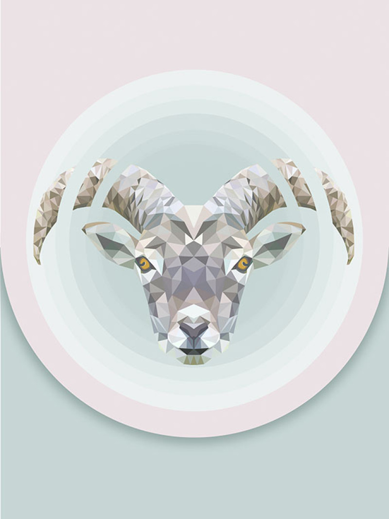 Capricorn - Thumbnail View 1