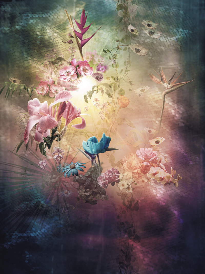 Enlightenment - Thumbnail View 1